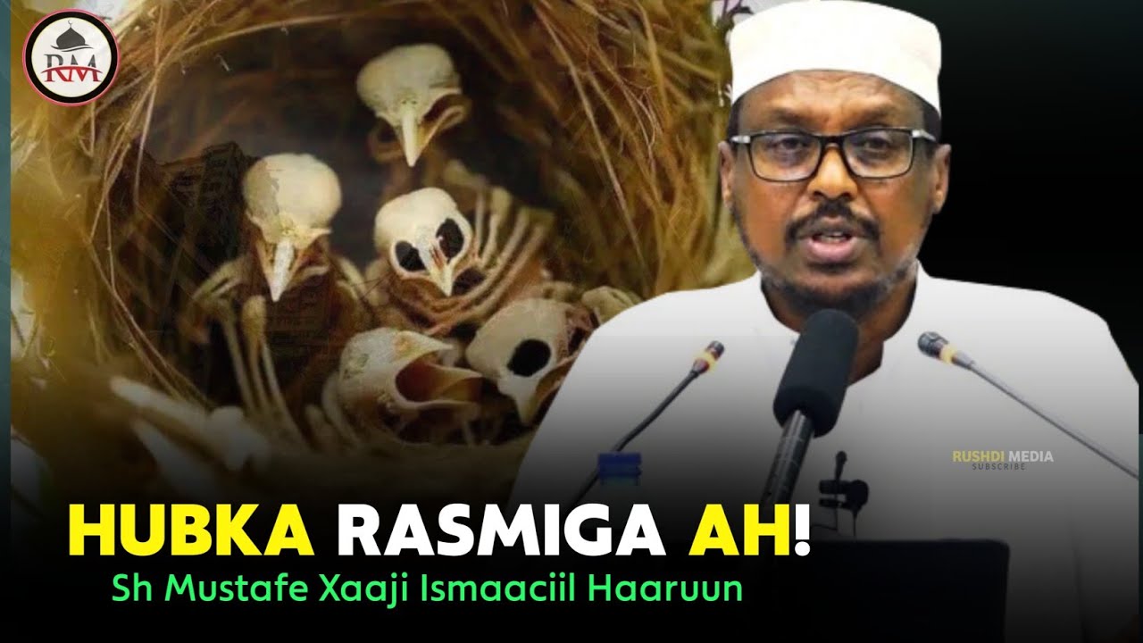 Waxa laysku Gumaystaa waa Aqoon. ┇Sheekh Mustafe X Ismaaciil Haaruun @RushdiMedia