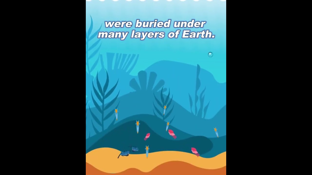 The Surprising Origins of Oil: Exploring Its Formation Process