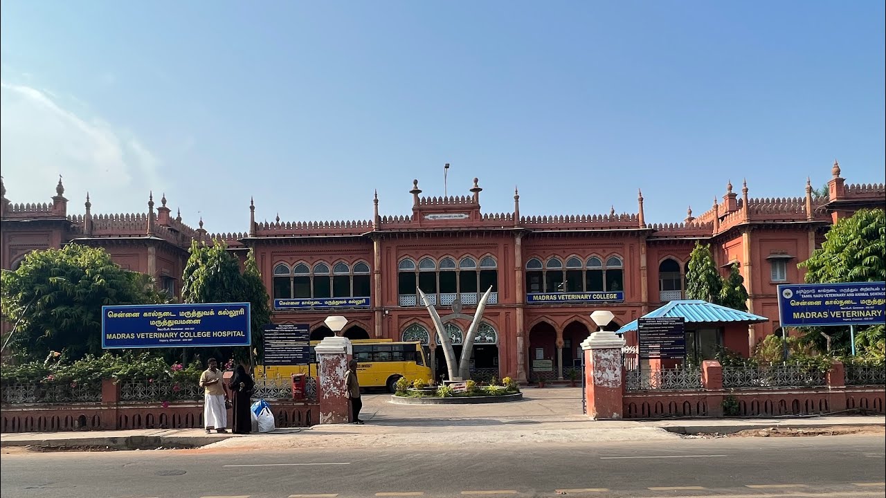 Madras Veterinary College | MVC | TANUVAS| Drone view| Krenoviantz21|