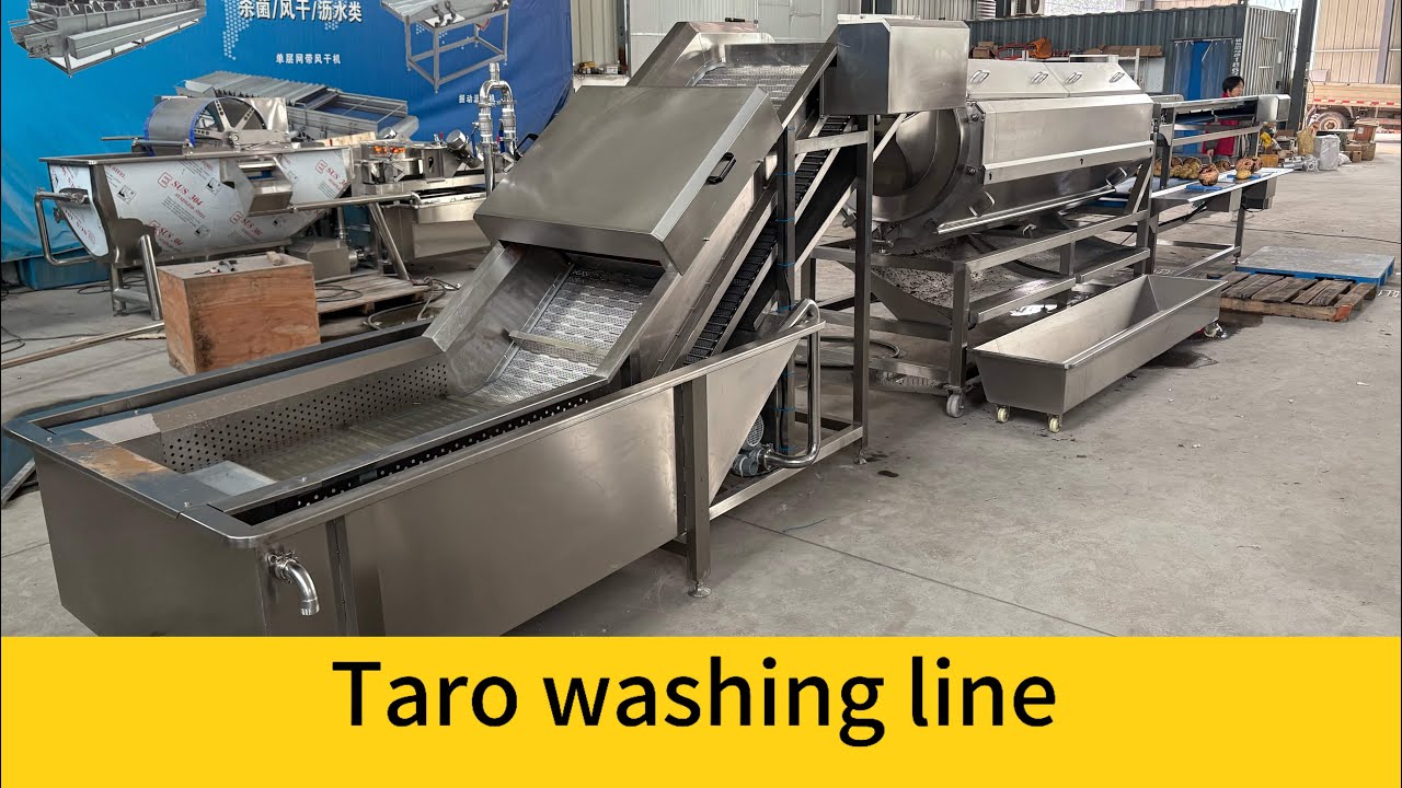 Lipu Taro Washing Polishing Sorting Line