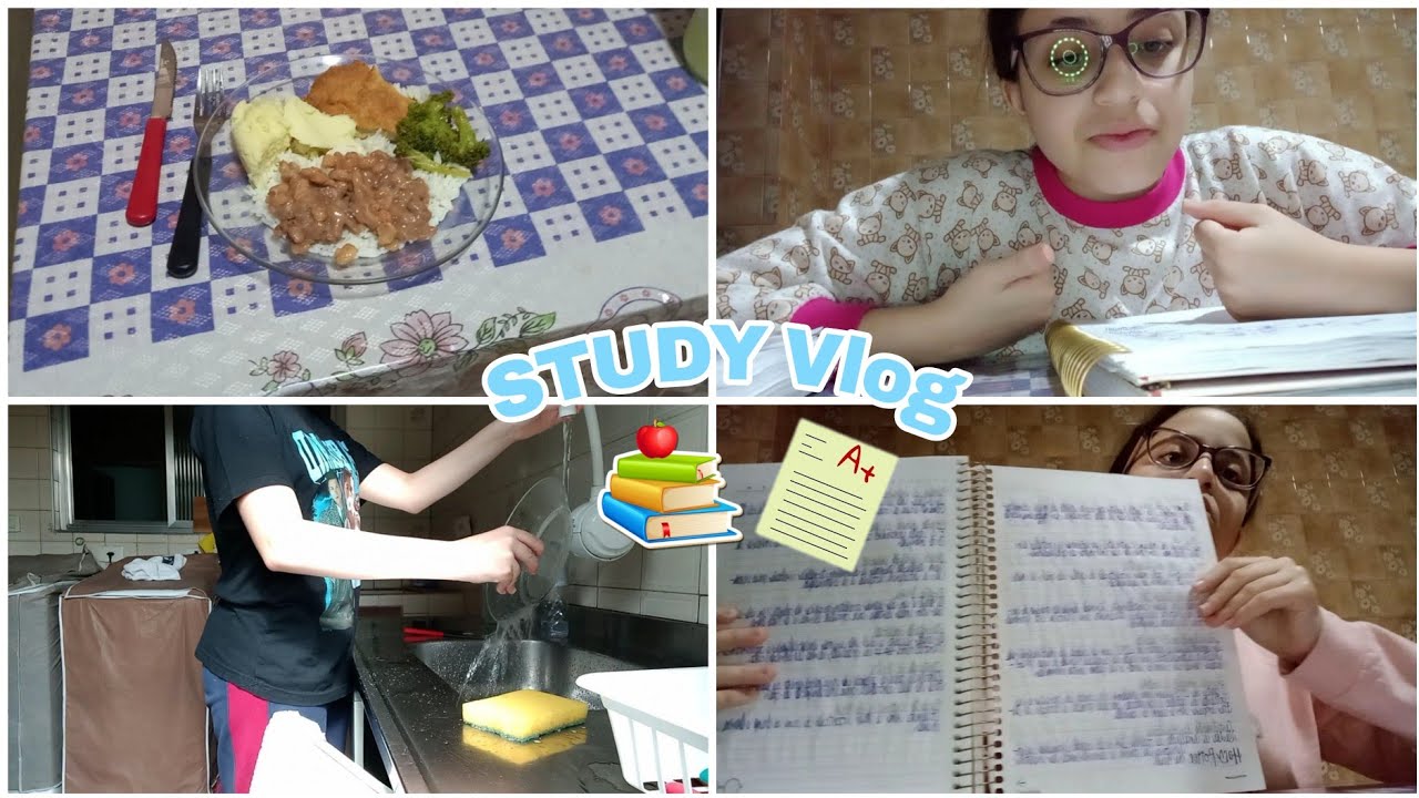 STUDY VLOG: Estudando para as provas📚📝