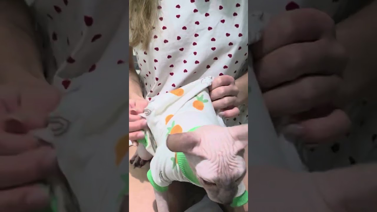 Просто додивіться це відео до кінця 😅