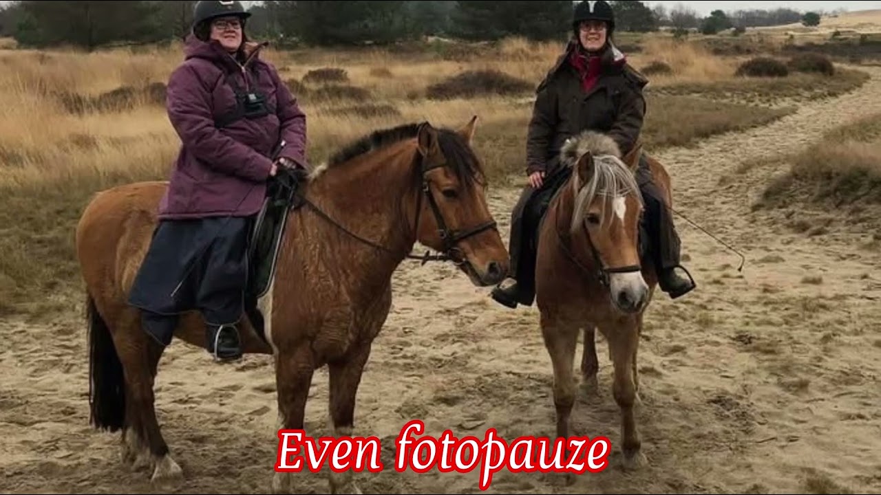 2024-12-15 Buitenrit op manege Natuurpoort van Loon in Loon op Zand (NL)