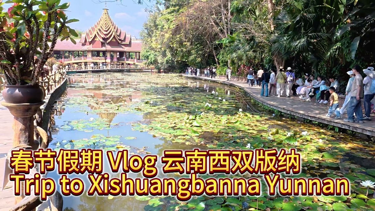 旅行Vlog｜去云南西双版纳过春节啦！Going to Xishuangbanna, Yunnan to celebrate the Spring Festival!