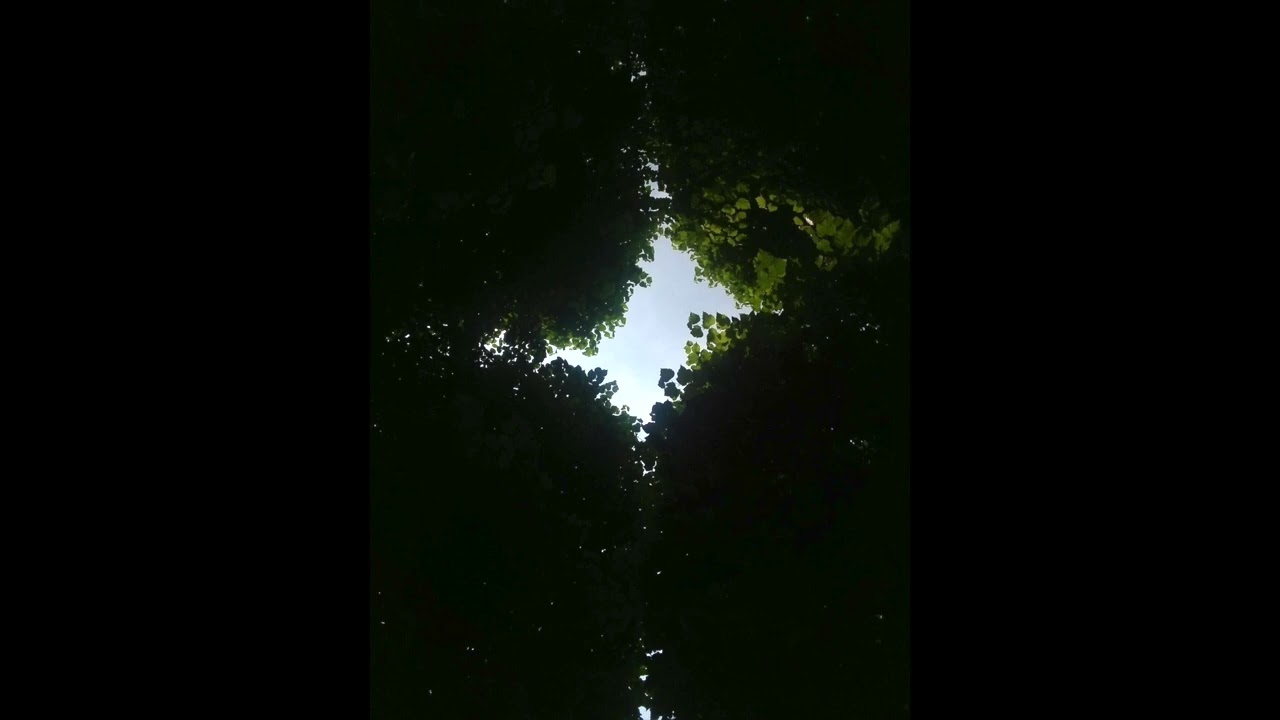 J.H.KAPSBERGER - Passacaglia for theorbo and harpsichord