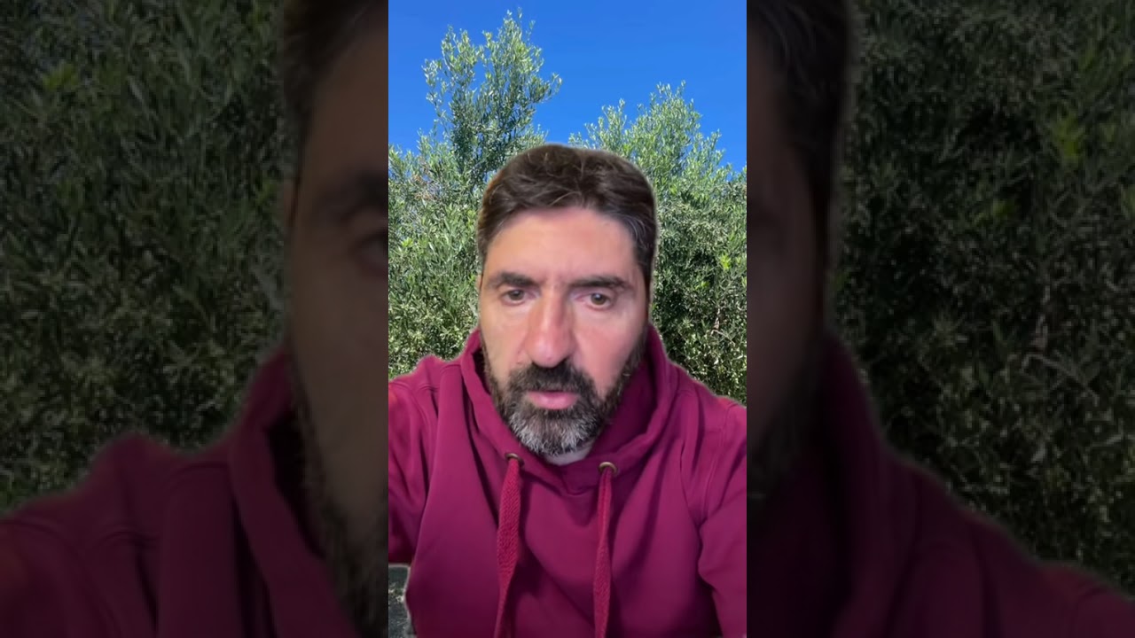 Τι προσέχω όταν φυτεύω νέα δέντρα ελιάς 