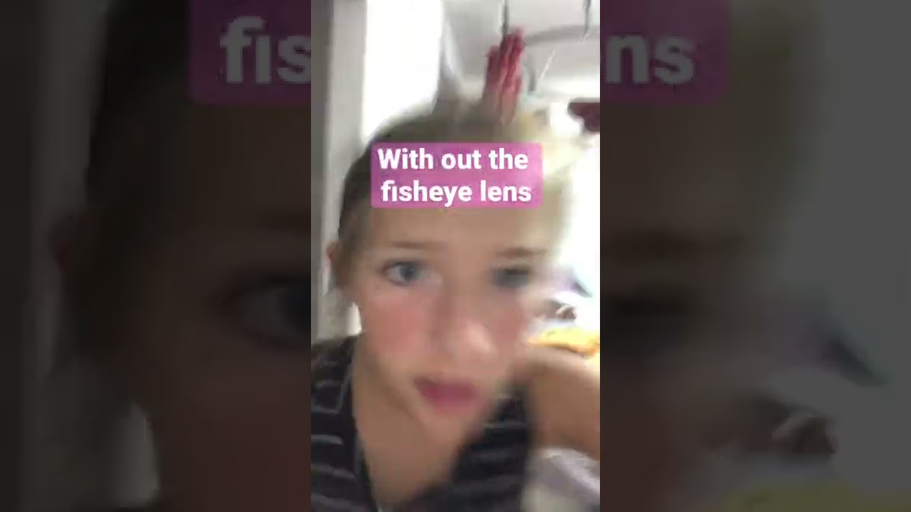 Fisheye lens