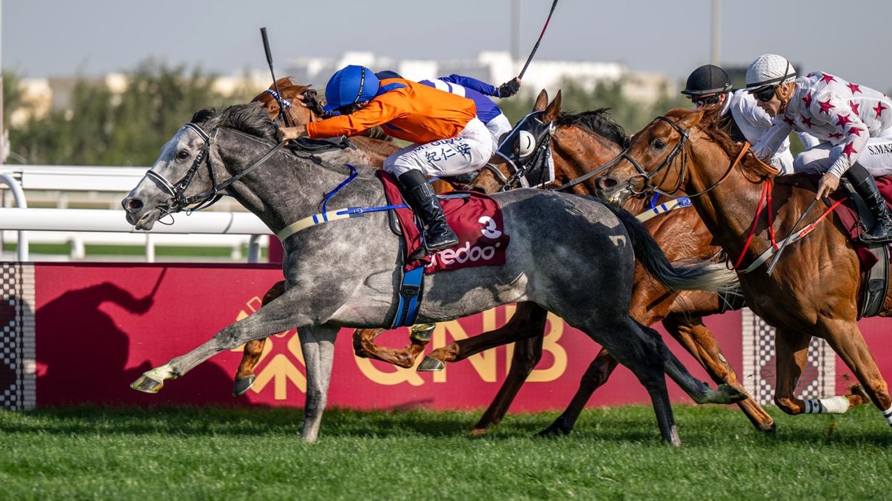 RM 51  Al Rayyan Race 1 -  H.H. The Amir Sword Festival - Day 4