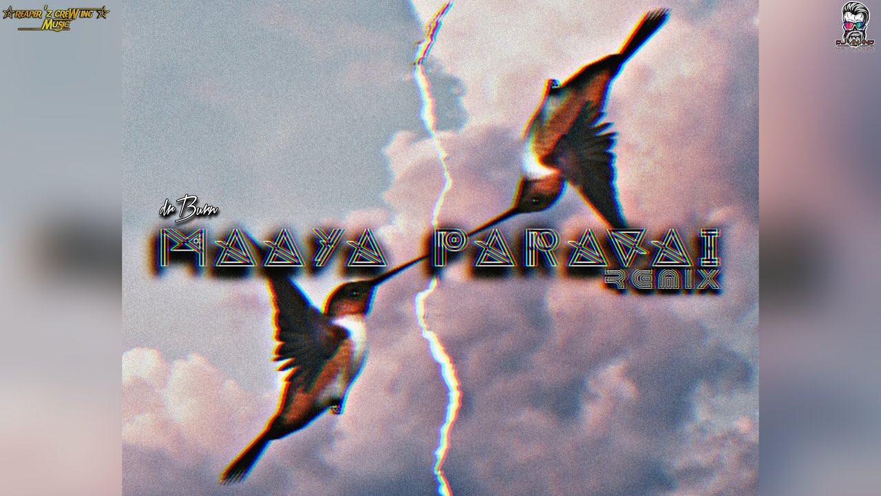 Maaya Paravai Remix //DrBurn //DjAnanD //Reaperz Crew Inc