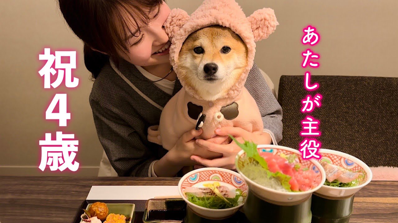 お腹を痛めて産んだ子同然の愛おしい愛犬の誕生日盛大にお祝いしました！