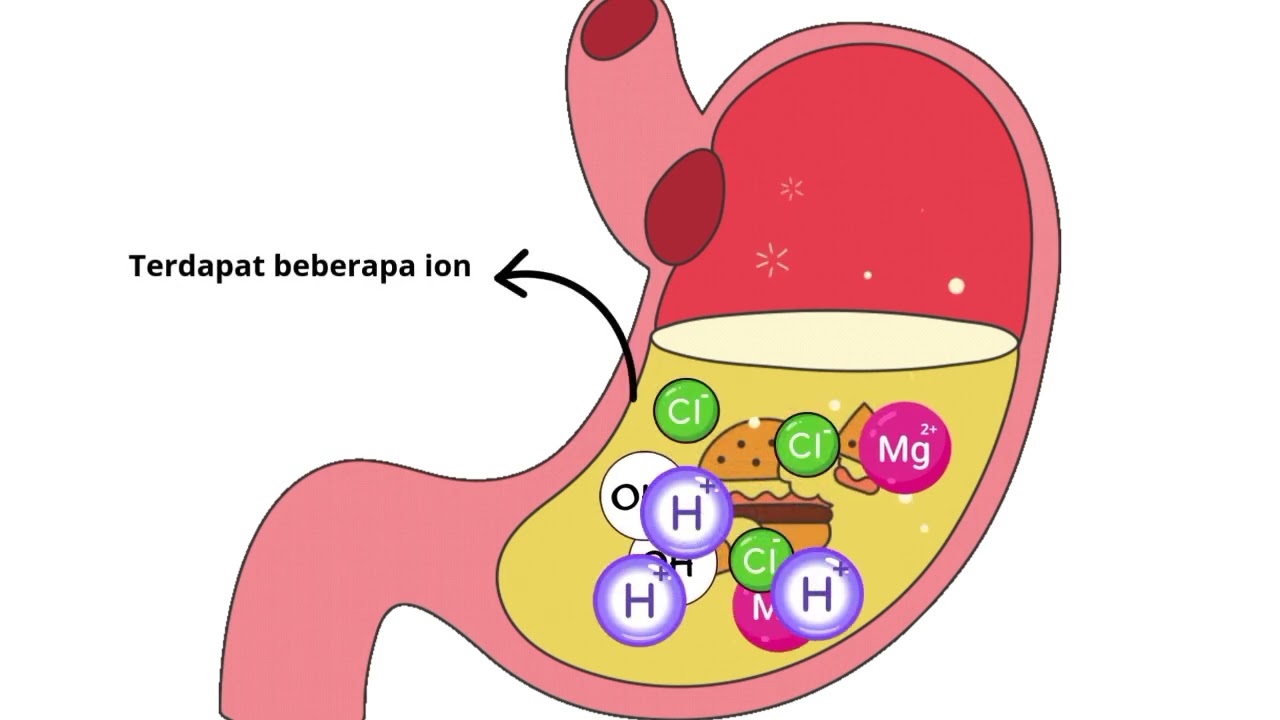 Animasi Sederhana 2D Reaksi Netralisasi Asam Basa.