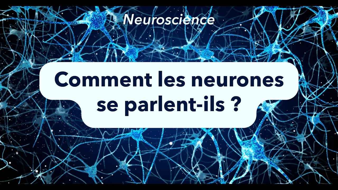NEURONES #1 : Comment les neurones se parlent-ils ?