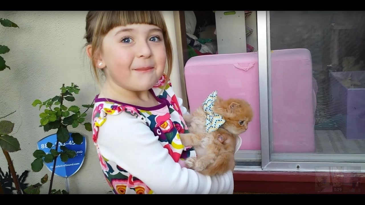 Ellie's 6th Birthday - Kitten Surprise