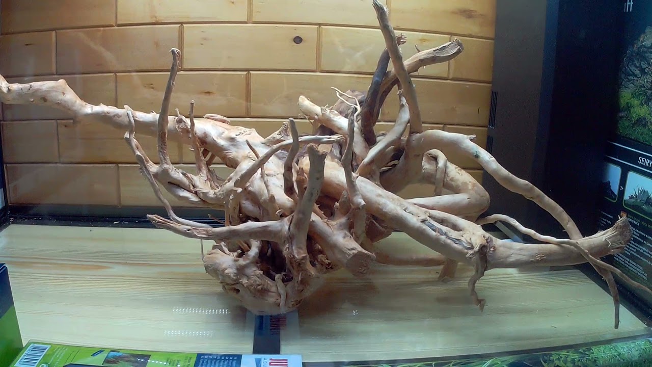 Nový začátek (Juwel Rio 125 L)