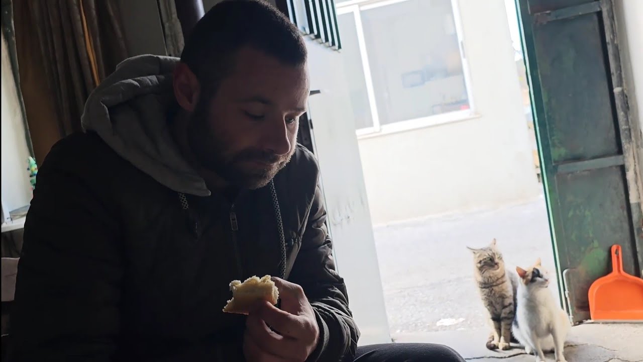 Απ'ολα τα καλούδια μας έφερε πάλι η Στέλλα. Μοσχαράκι κοκκινιστό,σούπα,πίτες,κέικ.Στη γιαγιά Αμαλία.