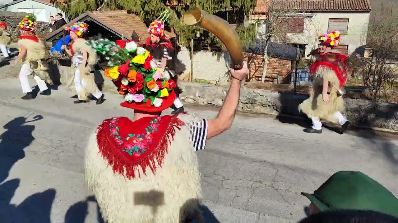 Mučićevi zvončari, Veli Brgud 2022 g.