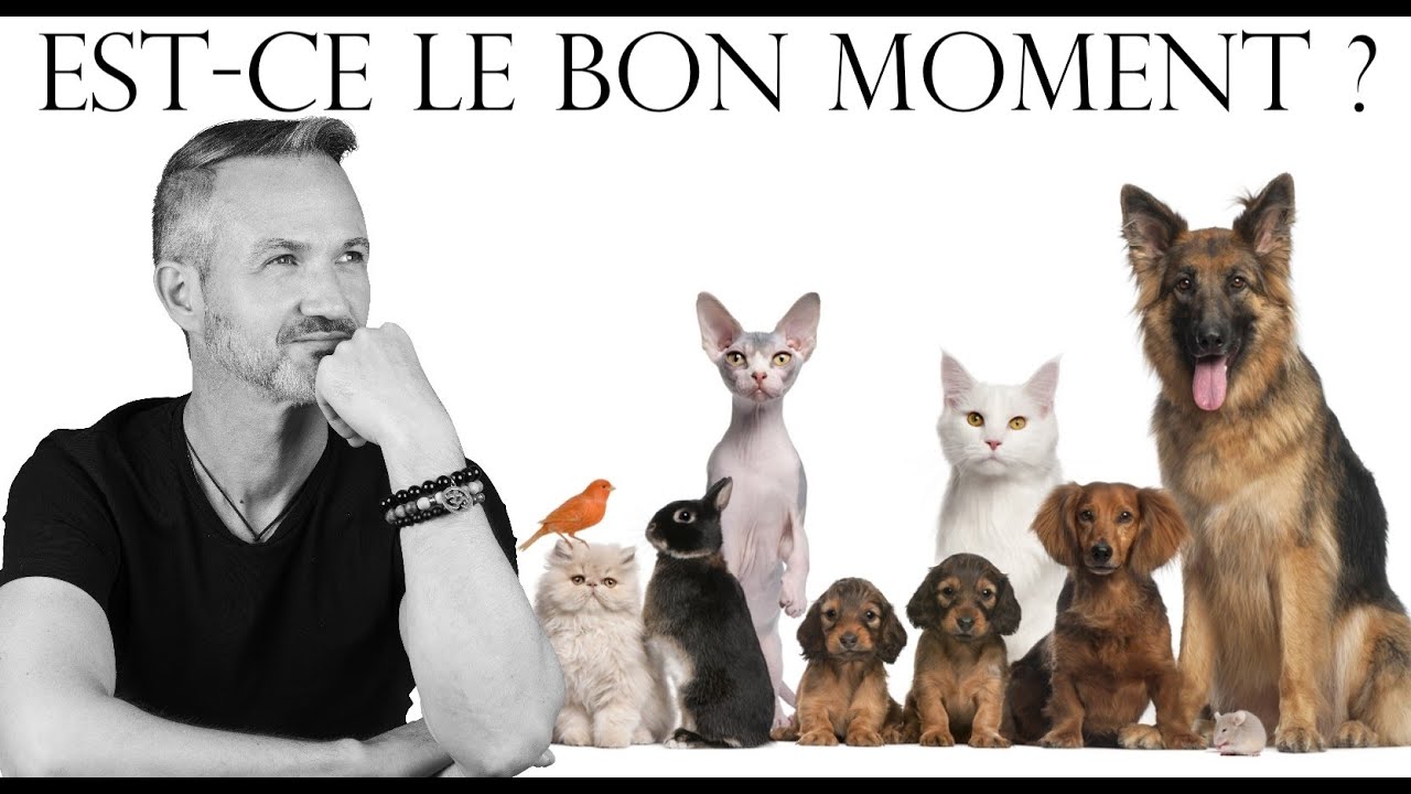 Je dois faire euthanasier mon animal...
