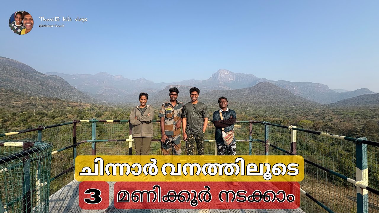 Chinnar wildlife sanctuary #chinnarforest #traking #foresttraking #munnar #forest 