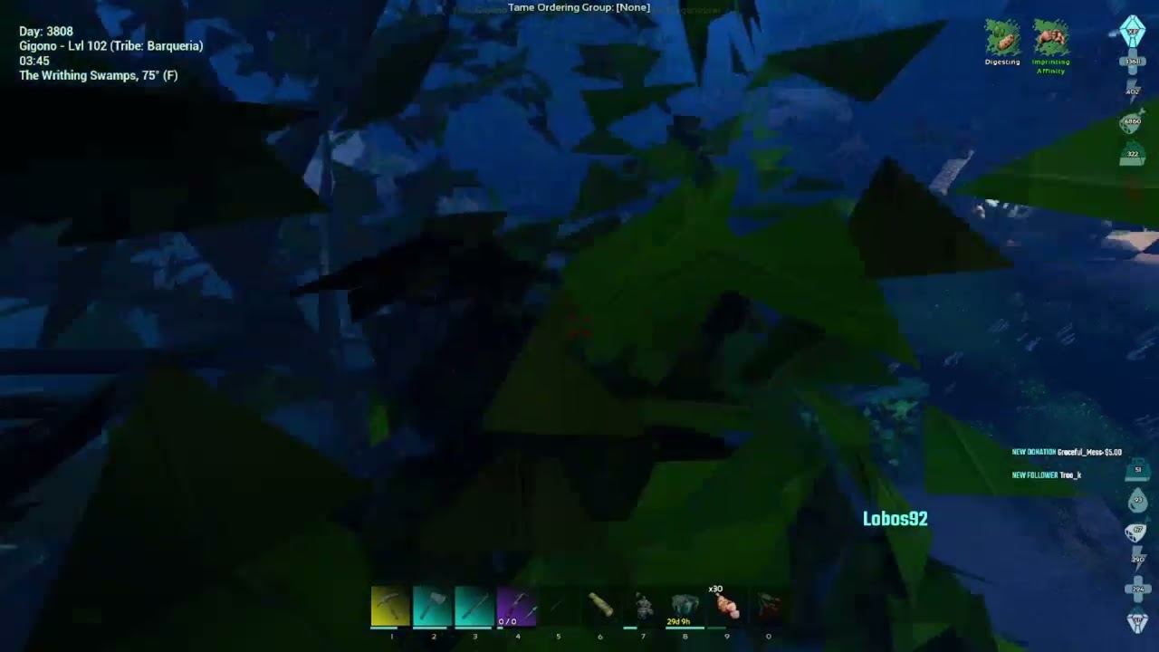 Highlight: Te Daria Prueba.