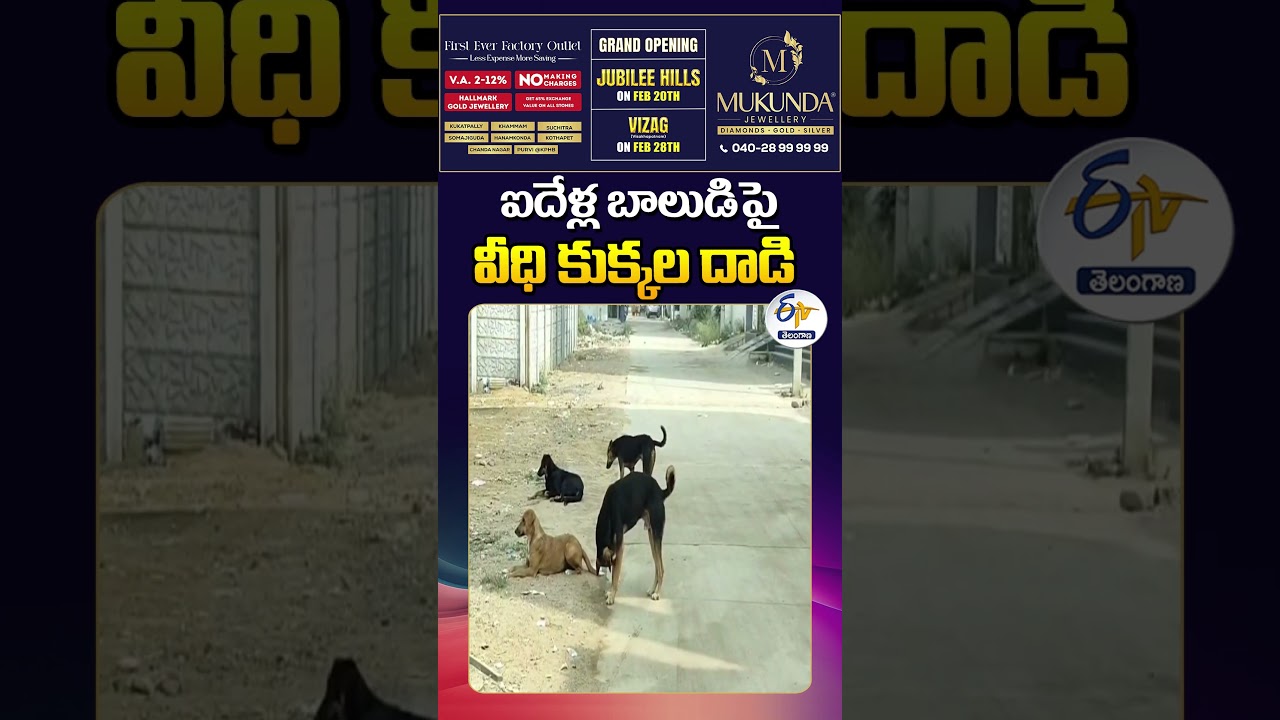 Stray Dogs Attack 5-Year-Old in Sangareddy