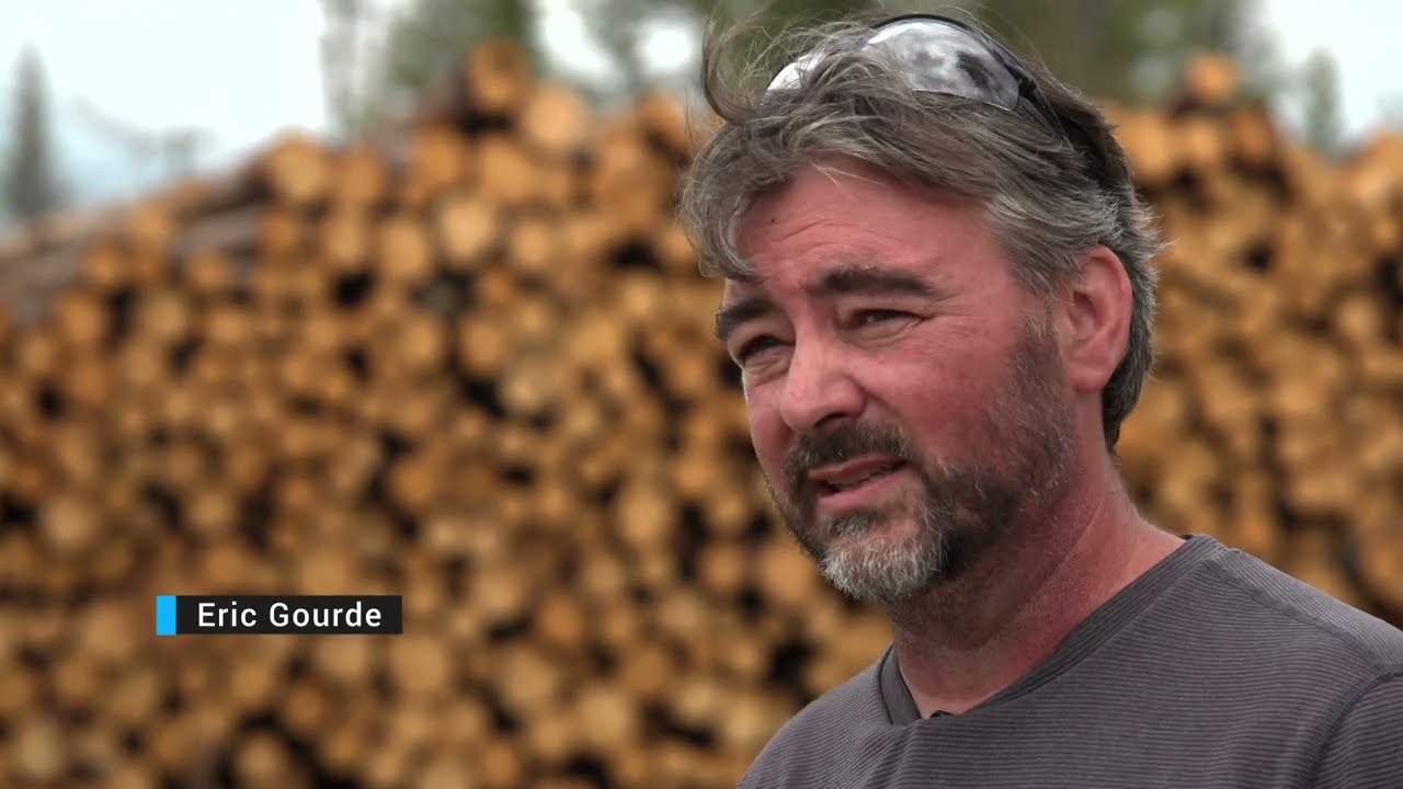 Enquête | Une excuse tordue