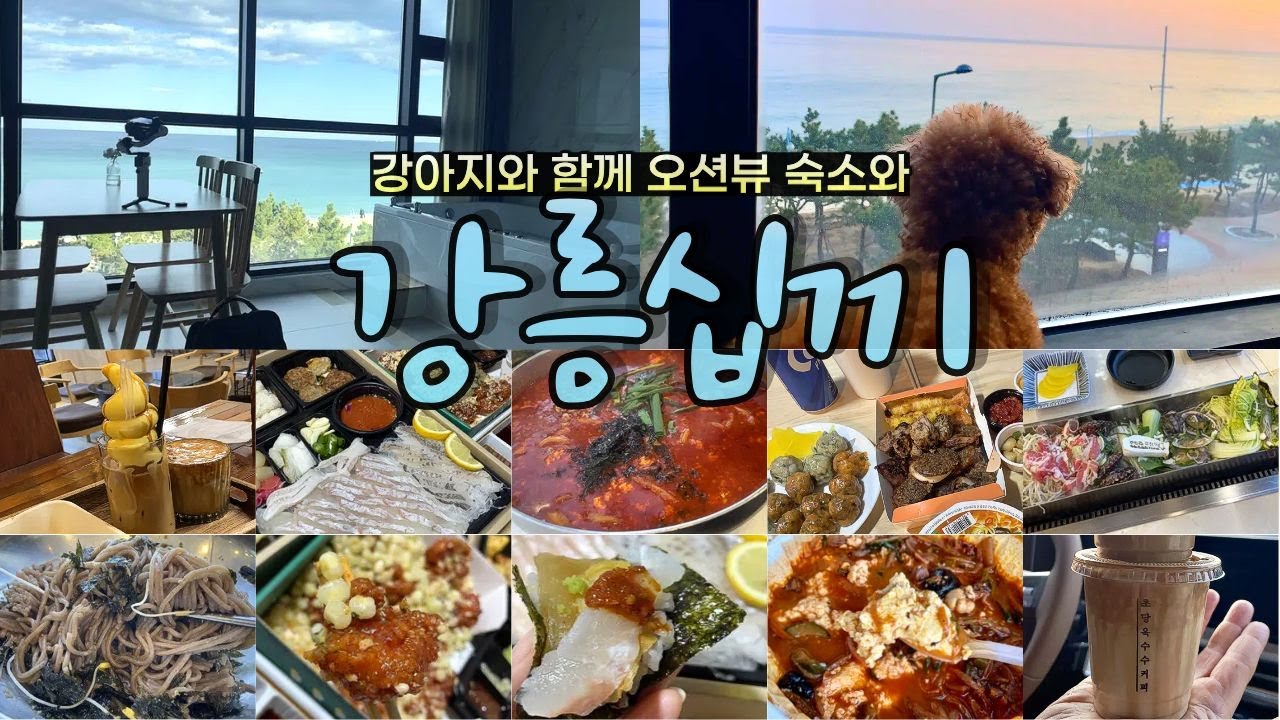 ep.181. 강아지와 함께한 강릉 맛집 10끼 도전 │ 오션뷰 바다 숙소 │ 반려견 동반 2박3일 강릉여행 │ 강릉애견동반맛집 │ 강릉카페 추천│ 안목을높이다