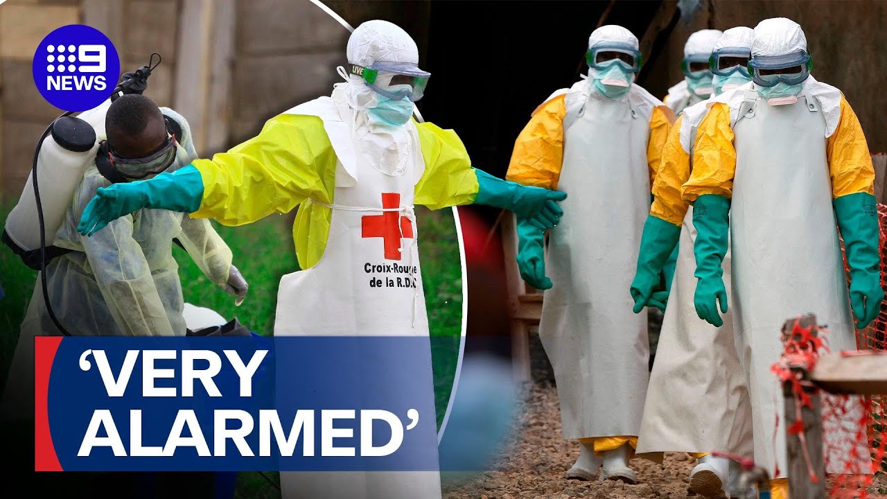 Global health emergency declared as fatalities increase from Ebola outbreak | 9 News Australia