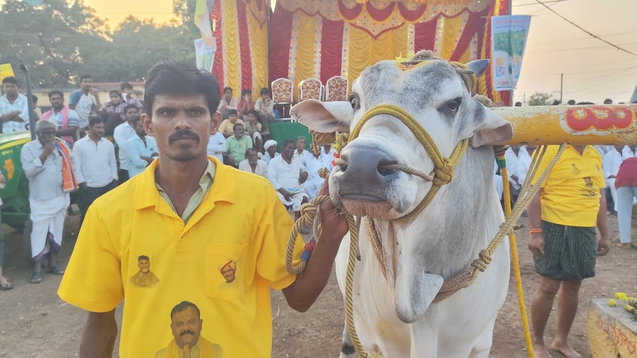 మాచవరం సబ్ జూనియర్స్ 1 వ యామిని మోహన్ శ్రీ రామారావు గారు & షైక్ బడే గారు