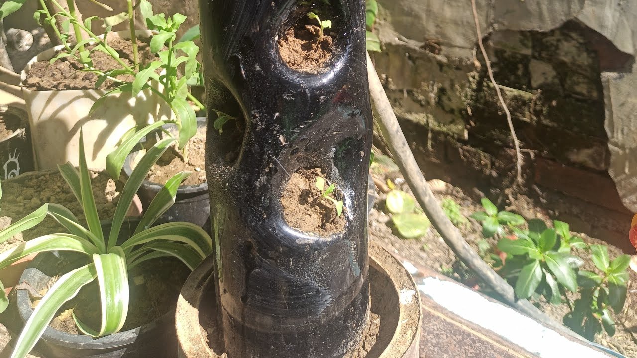 घर पर बनाएं टावर प्लांटर