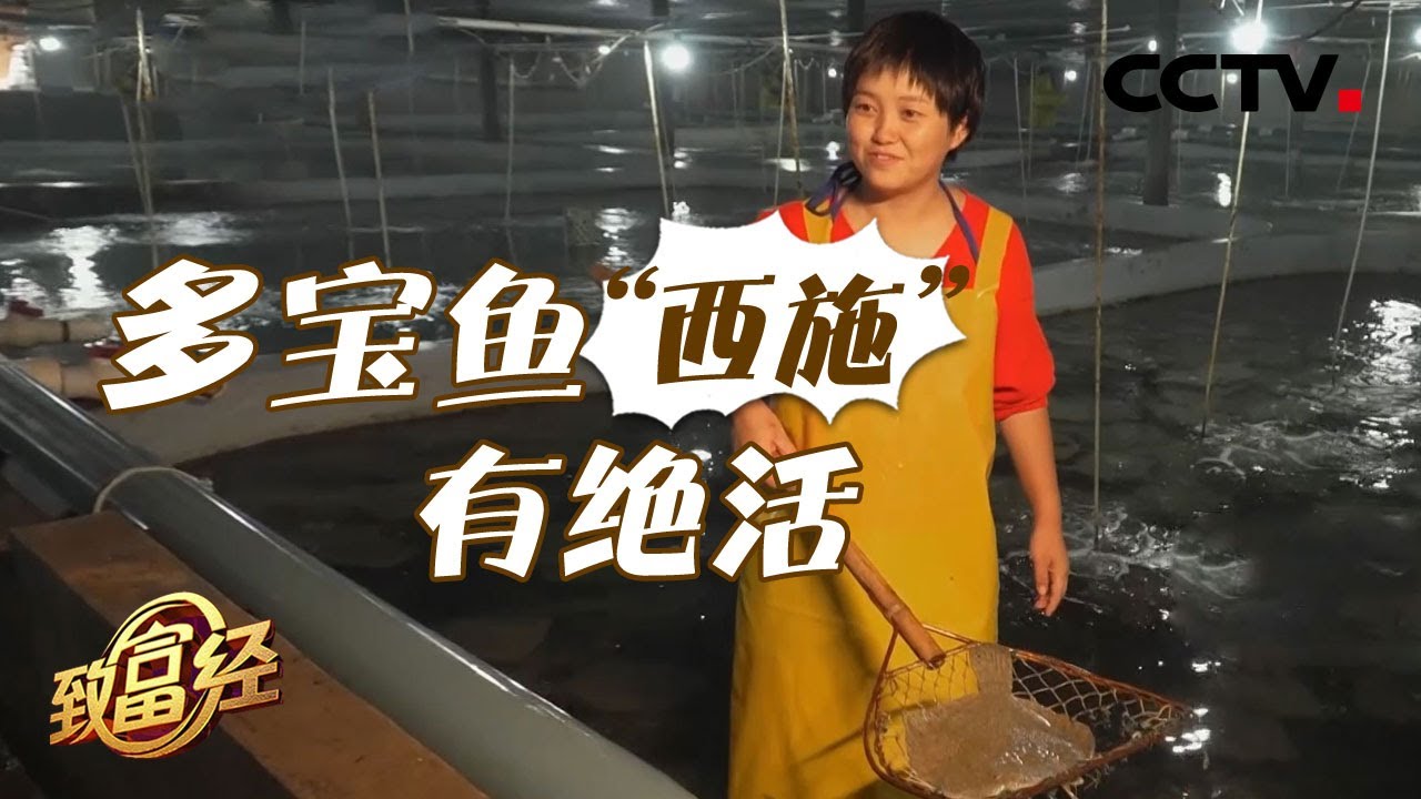 儿媳当家！还清公公千万债务，徒手盲猜多宝鱼重量分毫不差 | CCTV「致富经」20200817