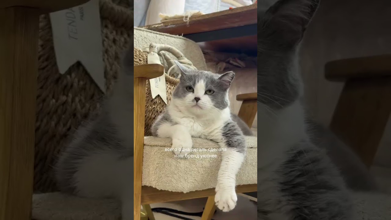 Булка отвечает за качество пальто и экошуб Alpaka Story