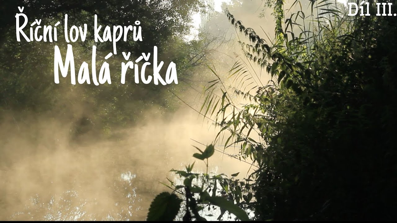 Říční lov kaprů Malá říčka (River carpfishing Small river)