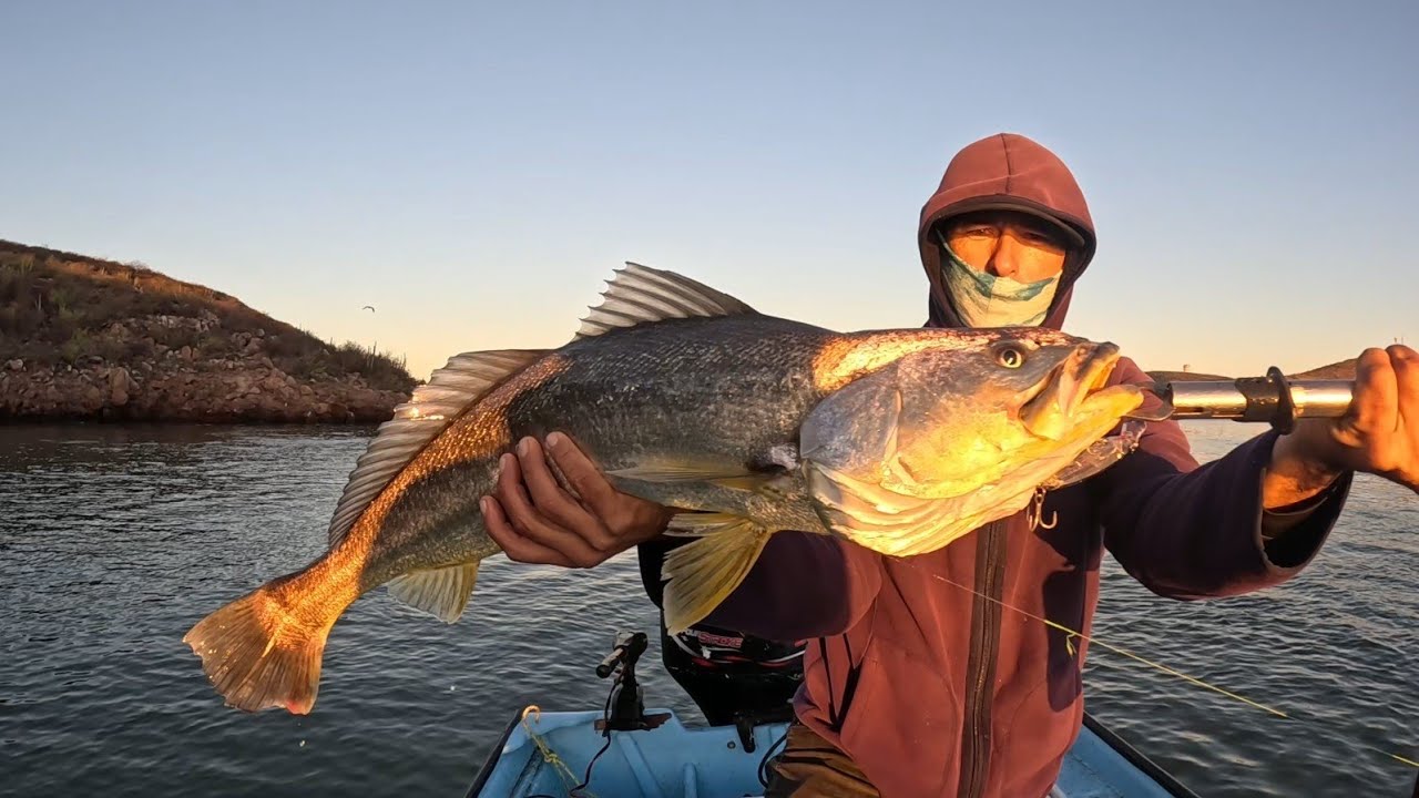 Excellent Fishing for Snook and Croaker with Lupe Lofhis