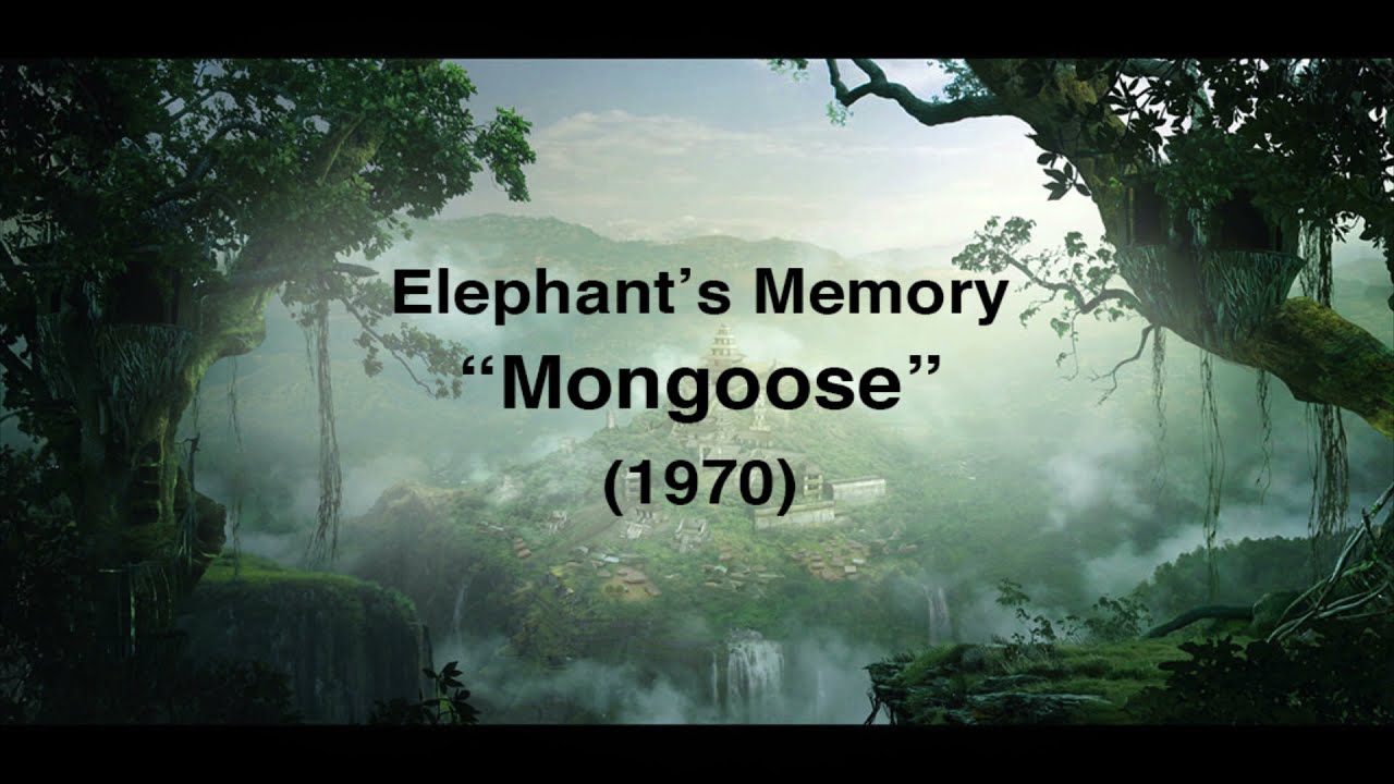 Elephant's Memory - 