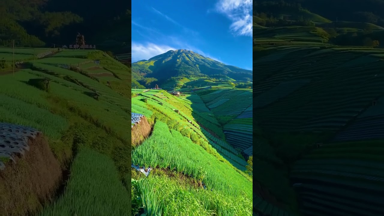Welcome to the &ldquo;Land of Vegetables&rdquo; So peaceful, green, and beautiful from #Magelang ! IG : @u_zack1
