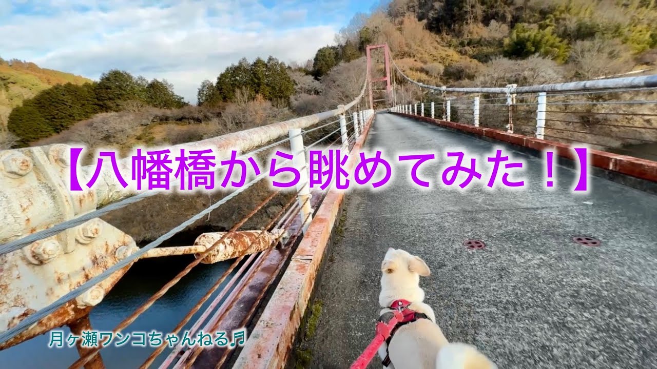 月ヶ瀬桃香野八幡橋からの景色をご案内^ ^
