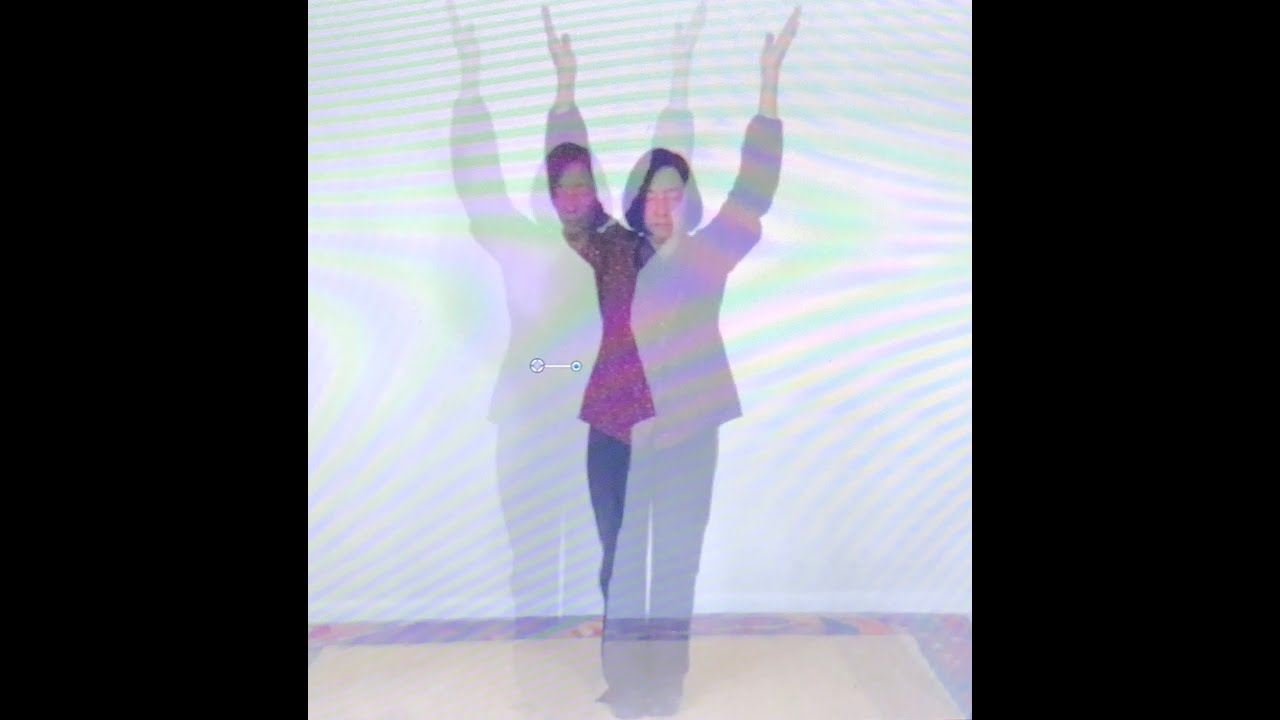 Lift Qi Up, Pour Qi Down- Wisdom Qigong Level 1, 22-minute Foundation Form