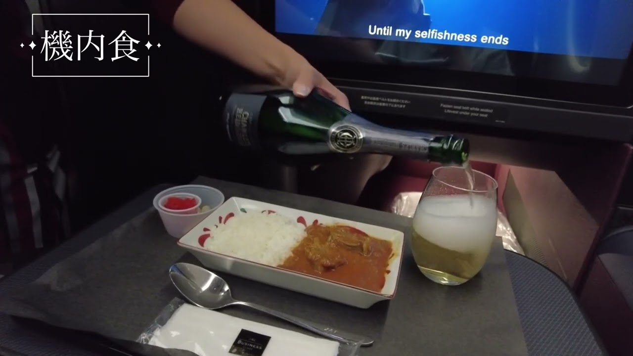 ニューヨーク女1人旅Vlog🇺🇸 l ⑤JAL ビジネスクラス l ニューヨーク l A350 l 国際線✈️ l NY