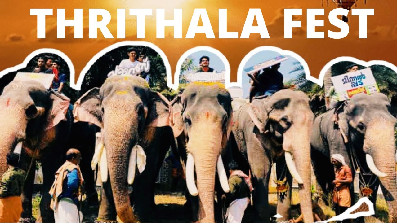 THRITHALA FEST 2022 | MORNING VIBE | തൃത്താല നേർച്ച രാവിലെത്തെ വരവേൽപ്പ് | #thrithala