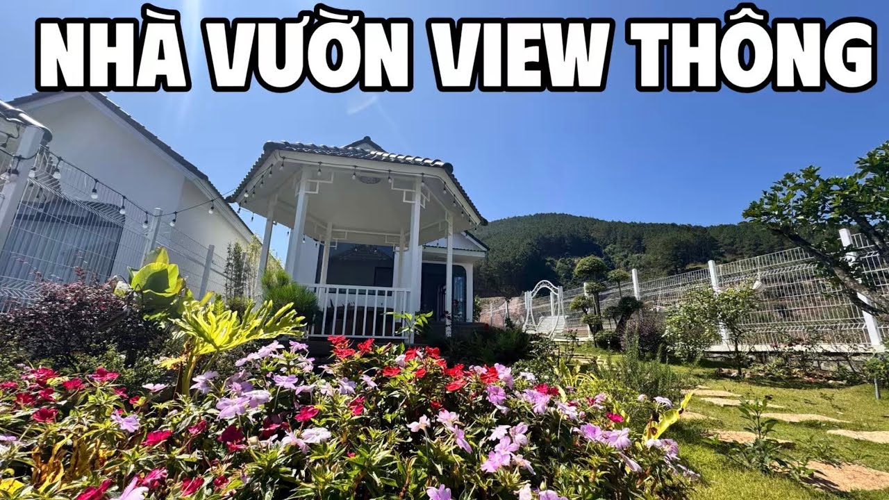 Khám Phá Nhà Vườn Đẹp | View Thông và trung tâm Xã Nam Nam Lâm Hà Lâm Đồng