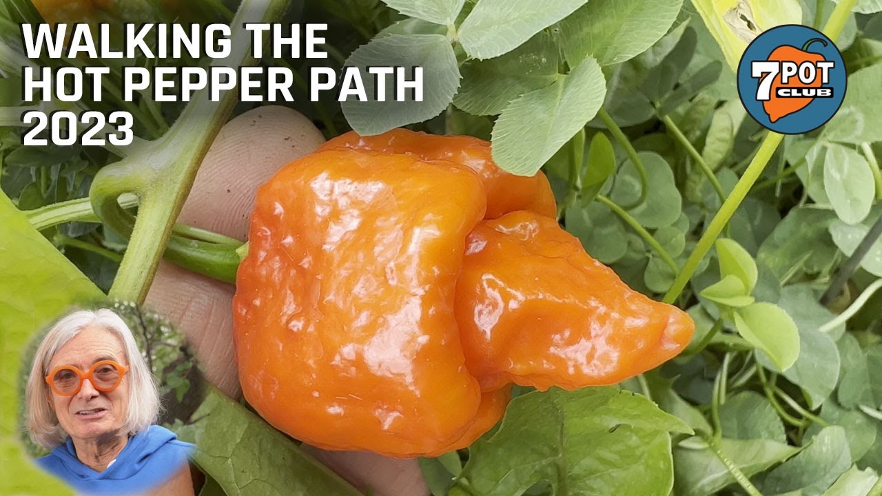 Walking the Hot Pepper Path 2023