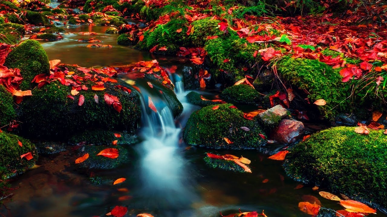 Ice Waterfall And Silent Peaceful Music For Study, Meditation, Yoga, Sleep and Relaxing