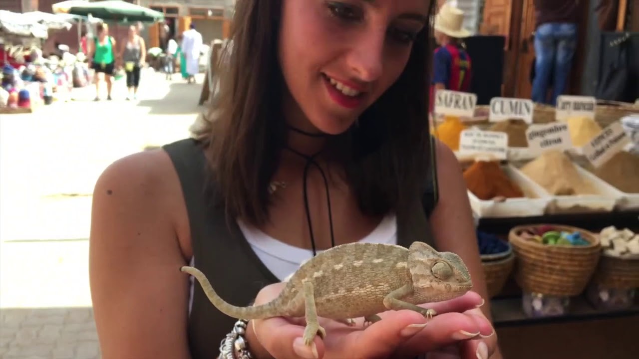 DIARIO DI VIAGGIO - MAROCCO - MARRAKECH - MARRAKESH - MOROCCO