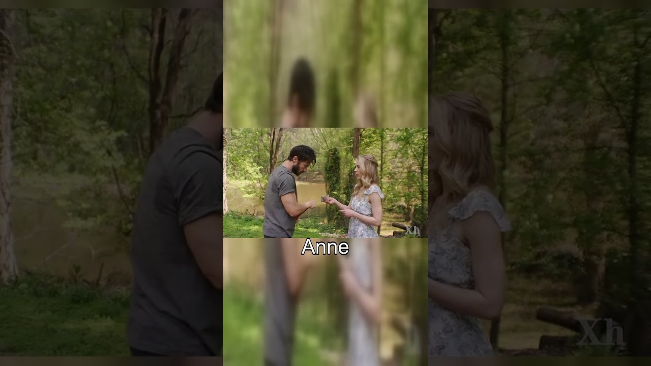Romantic Encounter: A Love Story Triggered by a Golden Retriever