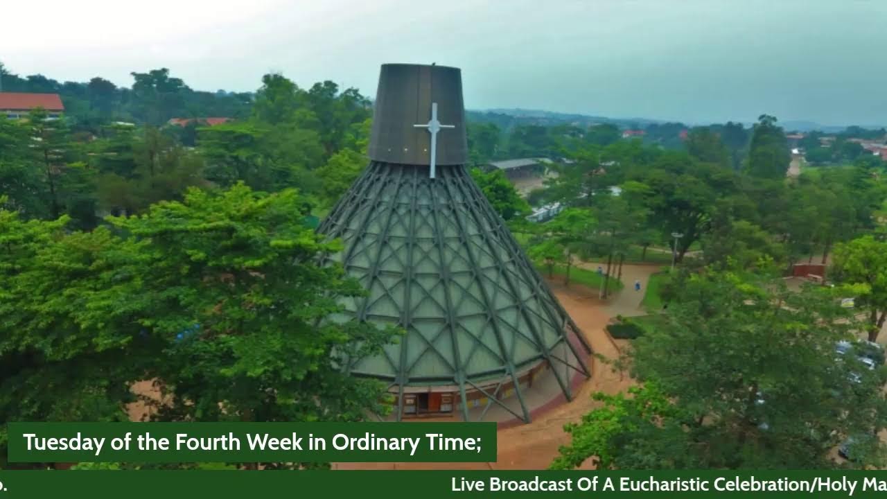 Tuesday of the Fourth Week in Ordinary Time