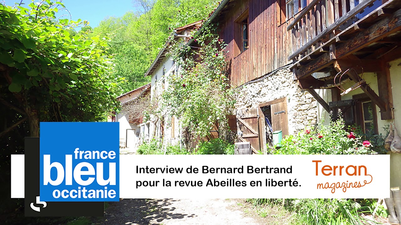 France Bleu Occitanie - Interview de Bernard Bertrand pour Abeilles en liberté