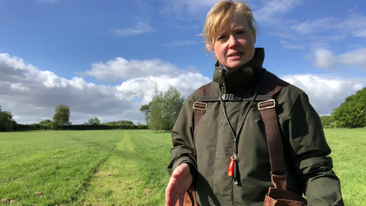 Rufriver Gundogs - Training your dog to cope with blinds at a distance