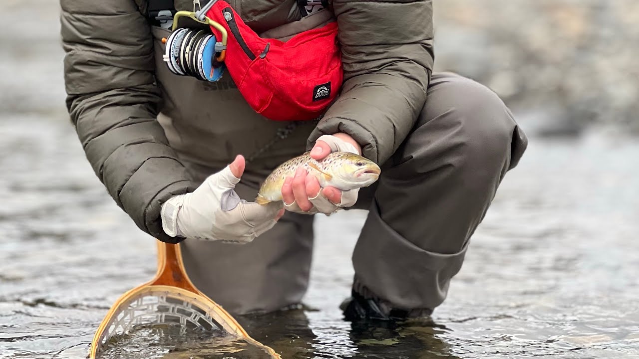 INICIANDO TEMPORADA 2024-2025 ¿DONDE ESTAN LAS TRUCHAS? Spinning UL & FlyFishing