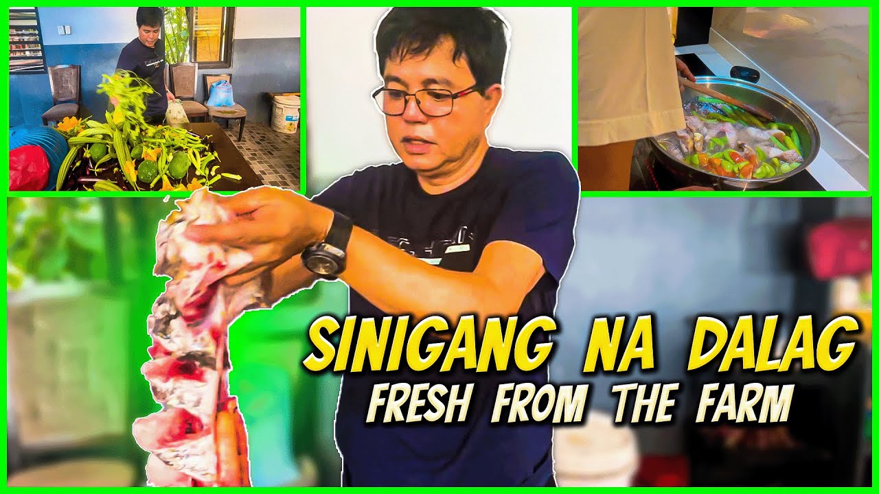 NAGLUTO AKO NG SINIGANG SA KAMATIS GAMIT ANG DALAG NA GALING SA FARM | Romeo Catacutan - Idol Tiktok