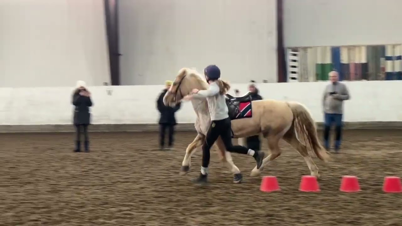 Sofie & Lilly - trening for Dee Tordoff 